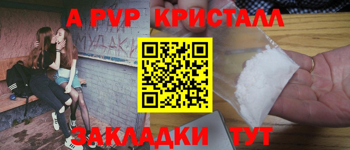 A-PVP СК КРИС Алейск